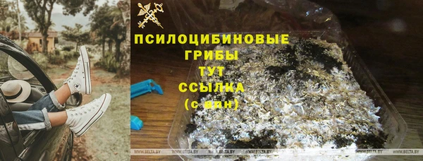 Альфа ПВП Аркадак