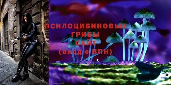 a pvp Арсеньев