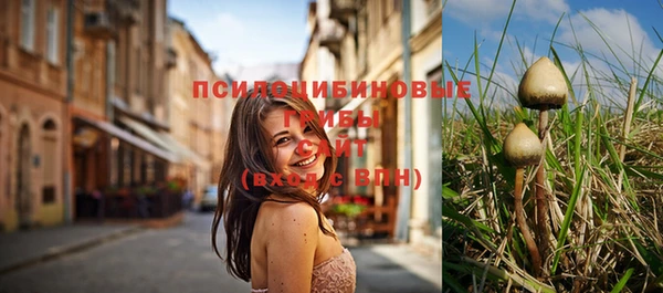 a pvp Арсеньев