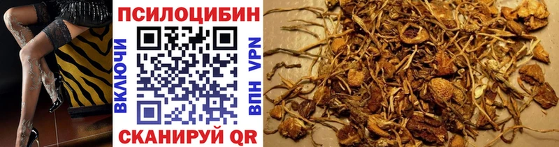 Купить  Чапаевск  Псилоцибиновые грибы GOLDEN TEACHER 